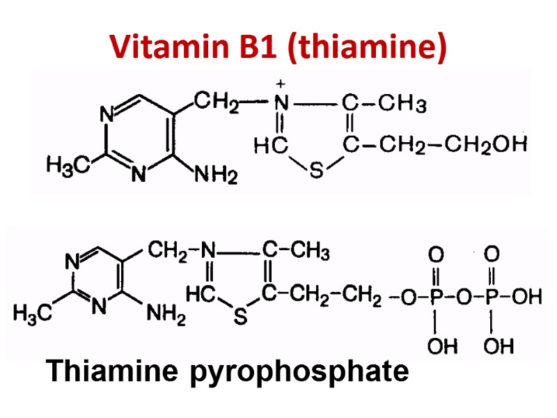 Vitamin B1 (thiamine) Thiamine pyrophosphate